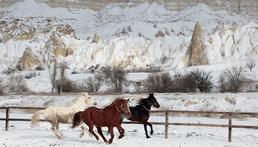 Horse Riding Cappadocia photo 4